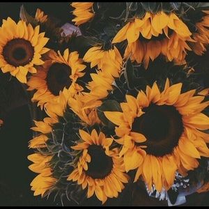 Meet your Posher, Alistar